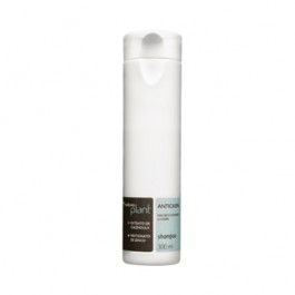 Shampoo Anticaspa Natura Plant