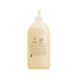Condicionador Andiroba Natura Ekos - Refil