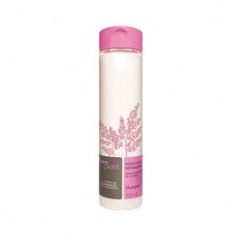 Shampoo Hidratação Reparadora Natura Plant